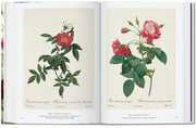 Pierre-Joseph Redouté. The Book of Flowers - Abbildung 4