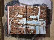 Fausto & Felice Niccolini - The Houses and Monuments of Pompeii - Abbildung 4