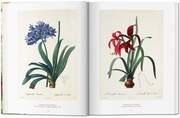 Pierre- Joseph Redouté - The Book of Flowers - Abbildung 3