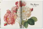 Pierre- Joseph Redouté - The Book of Flowers - Abbildung 4