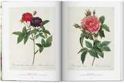 Pierre- Joseph Redouté - The Book of Flowers - Abbildung 5