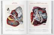 Atlas of Human Anatomy and Surgery - Abbildung 6