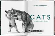 Walter Chandoha. Cats. Photographs 1942-2018 - Abbildung 1