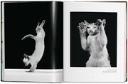 Walter Chandoha. Cats. Photographs 1942-2018 - Abbildung 8
