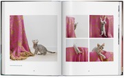 Walter Chandoha. Cats. Photographs 1942-2018 - Abbildung 9