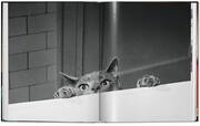 Walter Chandoha. Cats. Photographs 1942-2018 - Abbildung 12