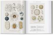 Ernst Haeckel. Kunst und Wissenschaft. 40th Ed. - Abbildung 1