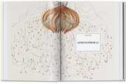 Ernst Haeckel. Kunst und Wissenschaft. 40th Anniversary Edition - Abbildung 2