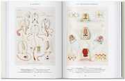 Ernst Haeckel. Kunst und Wissenschaft. 40th Anniversary Edition - Abbildung 5
