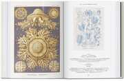 Ernst Haeckel. Kunst und Wissenschaft. 40th Ed. - Abbildung 6
