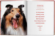 Walter Chandoha. Dogs. Photographs 1941-1991 - Abbildung 2