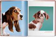 Walter Chandoha. Dogs. Photographs 1941-1991 - Abbildung 3