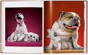 Walter Chandoha. Dogs. Photographs 1941-1991 - Abbildung 6
