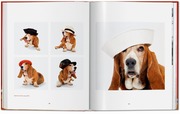 Walter Chandoha. Dogs. Photographs 1941-1991 - Abbildung 8