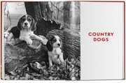 Walter Chandoha. Dogs. Photographs 1941-1991 - Abbildung 10