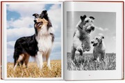 Walter Chandoha. Dogs. Photographs 1941-1991 - Abbildung 11