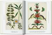 Seba. Cabinet of Natural Curiosities. 40th Ed. - Abbildung 2