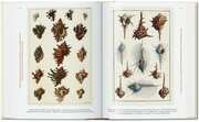 Seba. Cabinet of Natural Curiosities. 40th Ed. - Abbildung 5