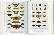 Seba. Cabinet of Natural Curiosities. 40th Ed. - Abbildung 6