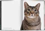 Walter Chandoha. Cats. Photographs 1942-2018 - Abbildung 2
