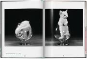 Walter Chandoha. Cats. Photographs 1942-2018 - Abbildung 5
