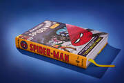 Marvel Comics Library. Spider-Man. Vol. 2. 1965-1966 - Illustrationen 19