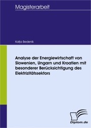 Analyse der Energiewirtschaft von Slowenien, Ungarn und Kroatien mit besonderer Berücksichtigung des Elektrizitätssektors