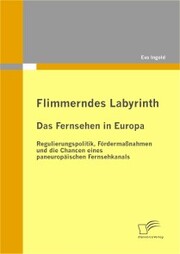 Flimmerndes Labyrinth: Das Fernsehen in Europa - Regulierungspolitik, Fördermaßnahmen und die Chancen eines paneuropäischen Fernsehkanals