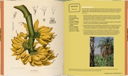 Kew Gardens - Das Kochbuch - Abbildung 1