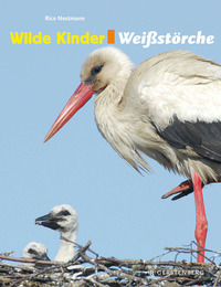 Wilde Kinder: Störche - Cover