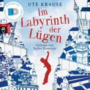 Im Labyrinth der Lügen - Cover