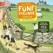Fünf Freunde JUNIOR - Drei Abenteuer - Timmy, der Meisterdetektiv. Gefahr auf den Klippen. Das Geburtstags-Abenteuer - Cover