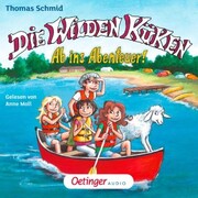 Die Wilden Küken 6. Ab ins Abenteuer! - Cover