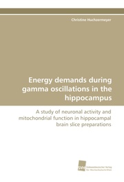 Energy demands during gamma oscillations in the hippocampus