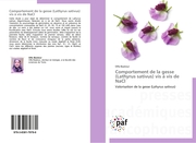Comportement de la gesse (Lathyrus sativus) vis à vis de NaCl