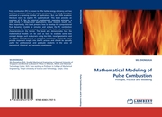 Mathematical Modeling of Pulse Combustion