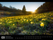 Naturparadies Deutschland - Signature Kalender 2025 - Illustrationen 3