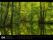 Naturparadies Deutschland - Signature Kalender 2025 - Illustrationen 4