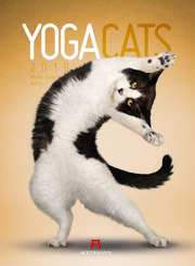 Yoga Cats 2019 - Cover