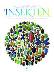 Wunderwelt Insekten 2020 - Cover