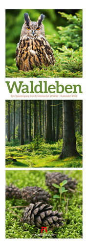 Waldleben - Ein Spaziergang durch heimische Wälder 2022