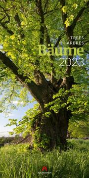 Bäume 2023 - Cover