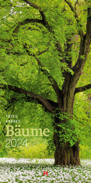 Bäume 2024 - Cover