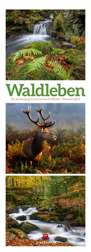 Waldleben - Triplet-Kalender 2024