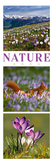 Nature - Triplet-Kalender 2024 - Cover