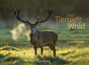 Tierwelt Wald 2024 - Cover