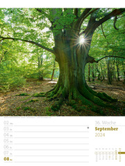Unser Wald - Wochenplaner 2024 - Abbildung 39