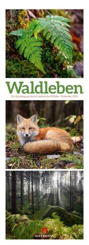 Waldleben - Ein Spaziergang durch heimische Wälder Triplet-Kalender 2025