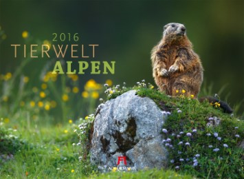 Tierwelt Alpen 2016