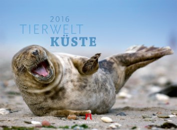 Tierwelt Küste 2016